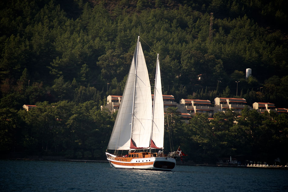 profile sail