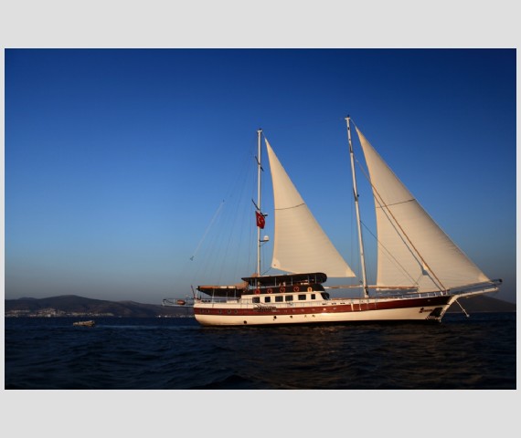 sailing 